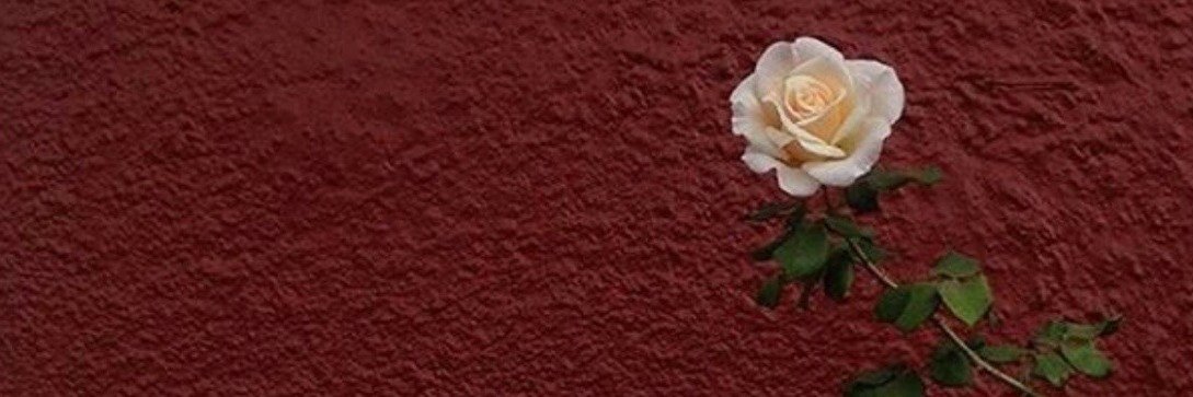 abcdefranshelis's profile banner image