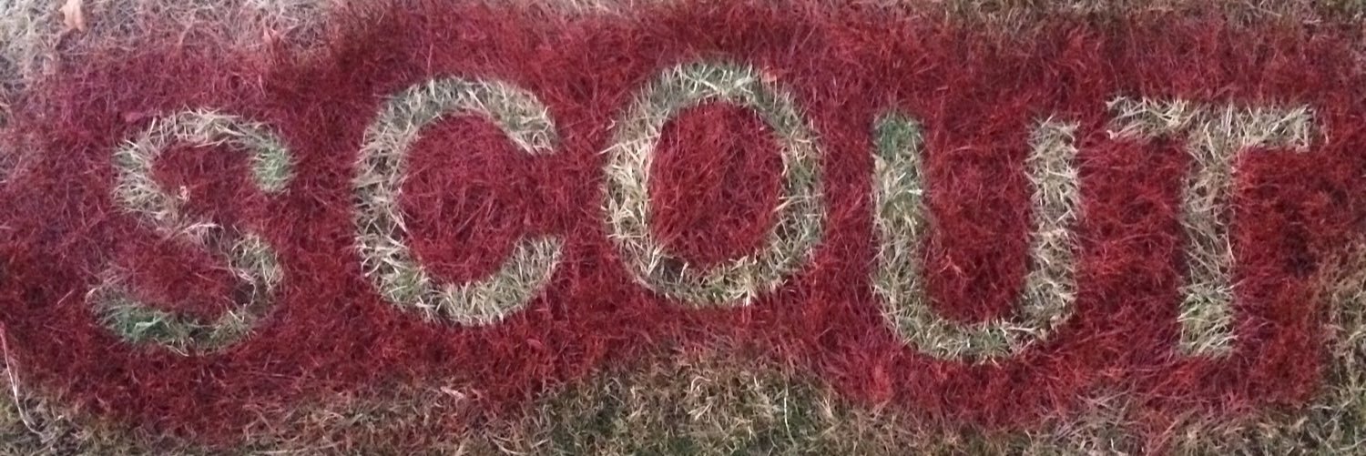 Scout Beer banner