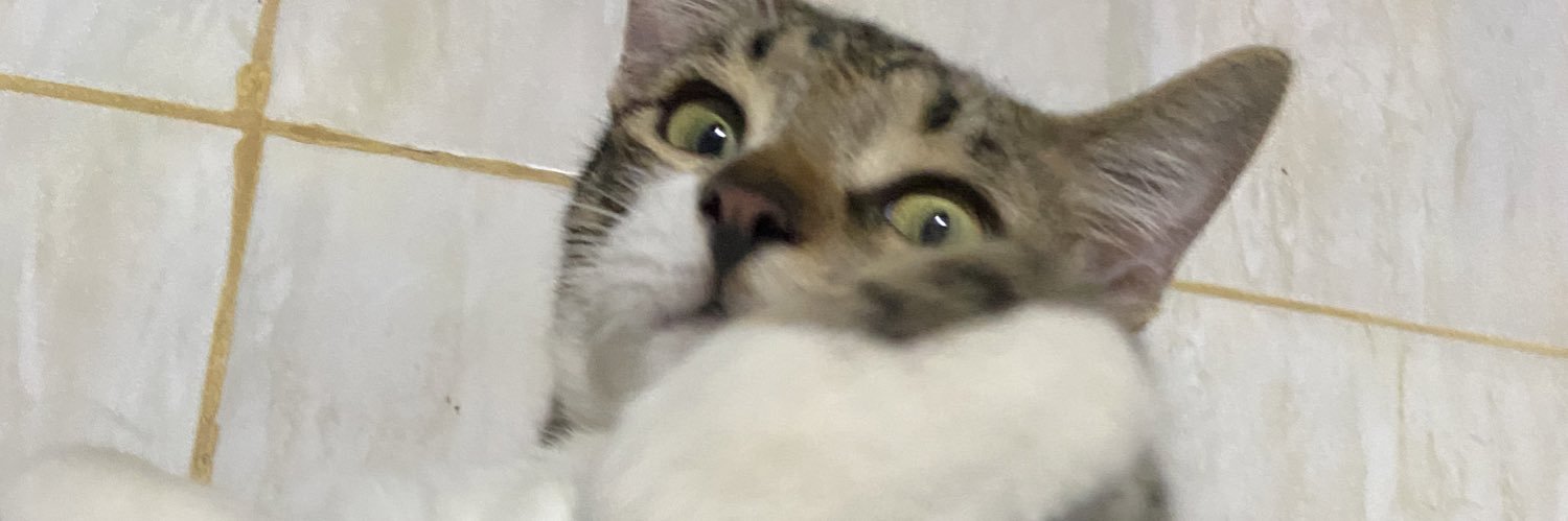 bmaaaatttt's profile banner image