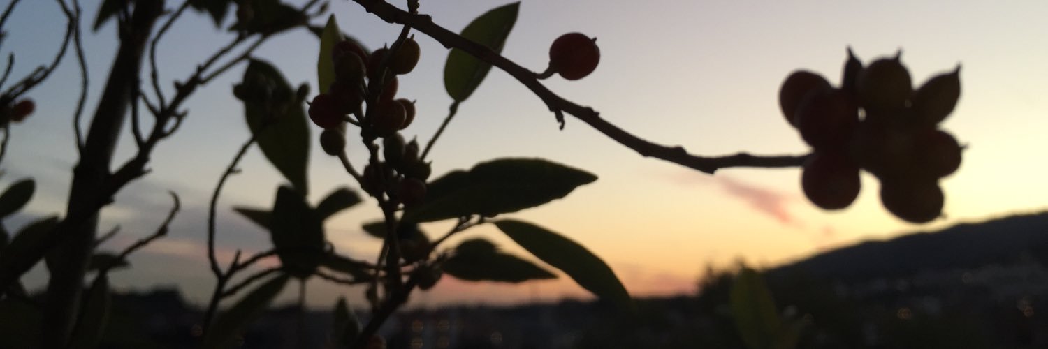 chata_emi's profile banner image