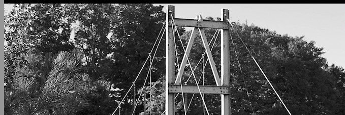 Cindy Wenig banner