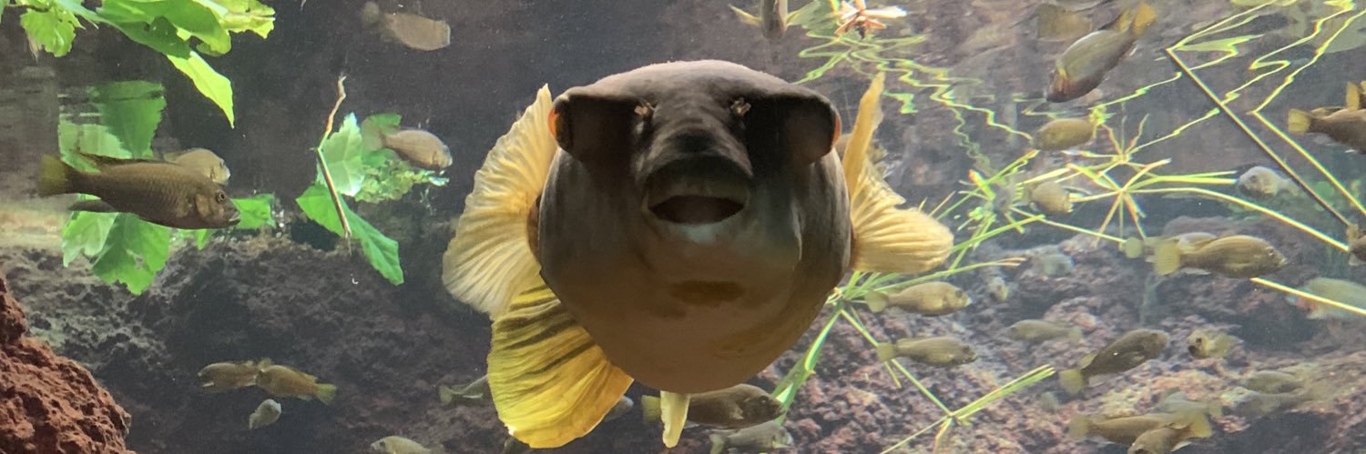 AustinWomancini's profile banner image