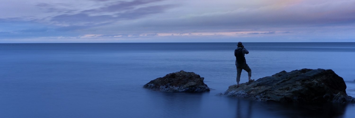 RenaudDavies's profile banner image
