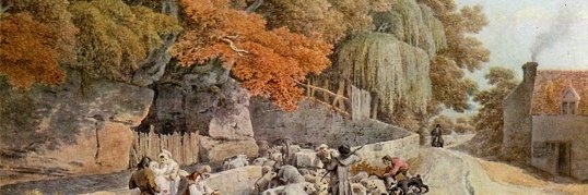 samiksha goyal banner