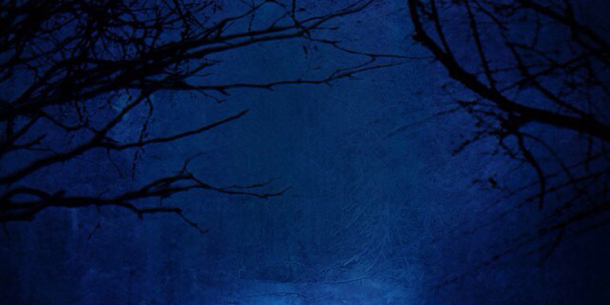 laurent2475's profile banner image