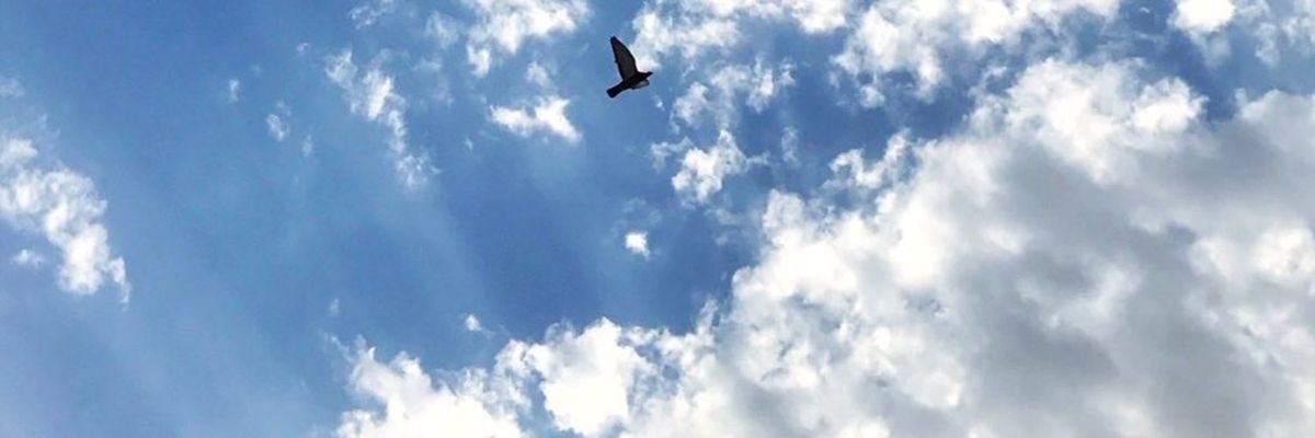 kmaz3010's profile banner image