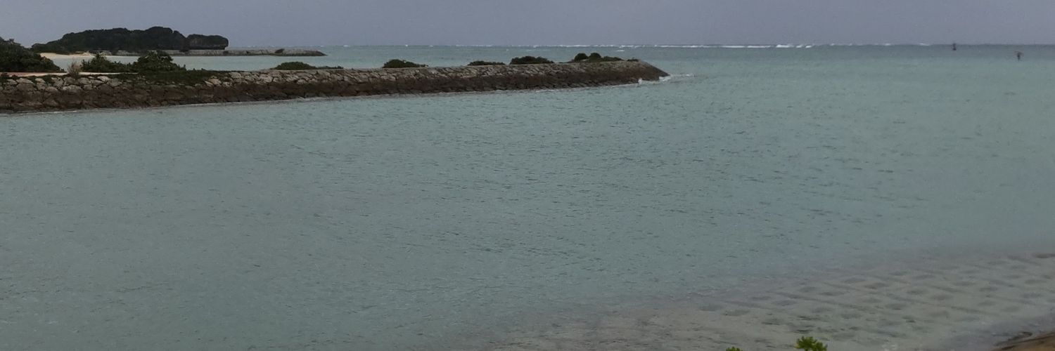 dalupanda's profile banner image