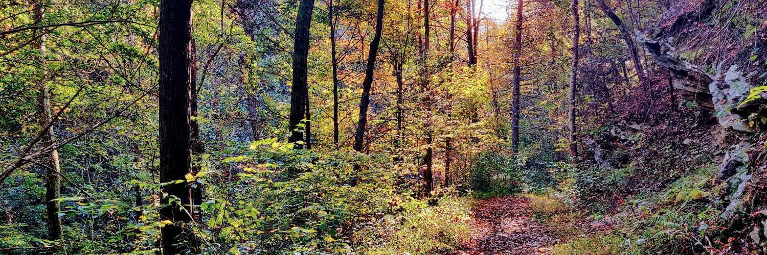 Charles Wright banner