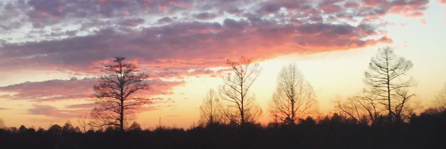 Canishhh's profile banner image