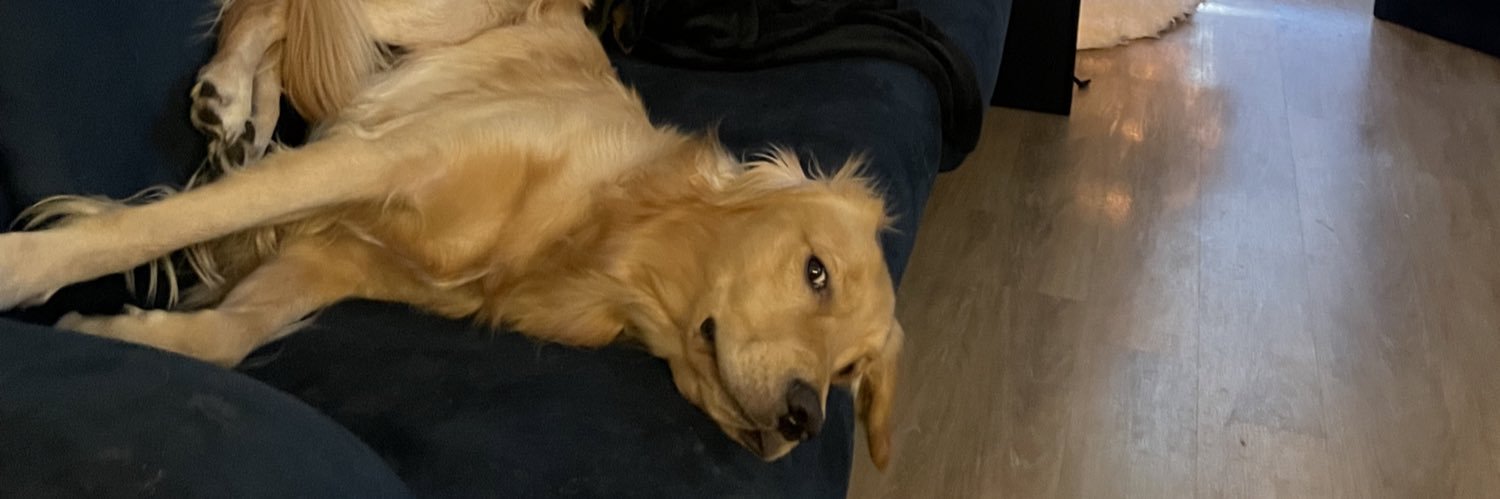 ed_boy3's profile banner image