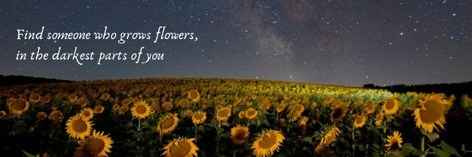 Emily Pearl's banner