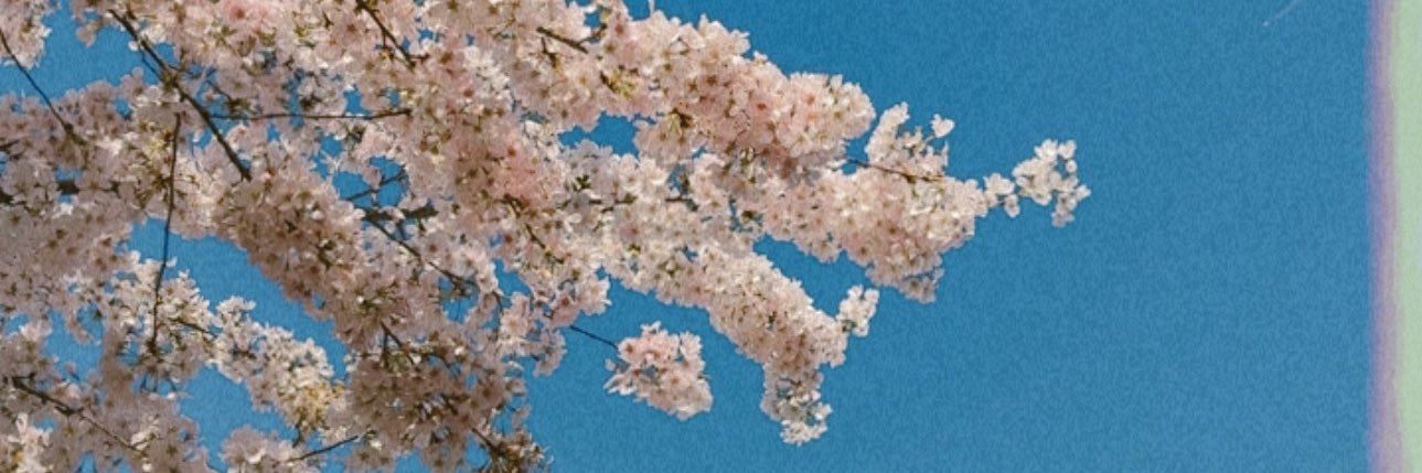 ZoeKeeley31's profile banner image