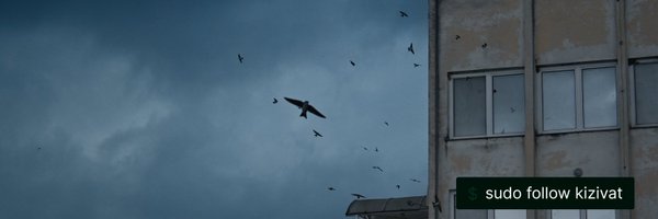 kizivat Profile Banner