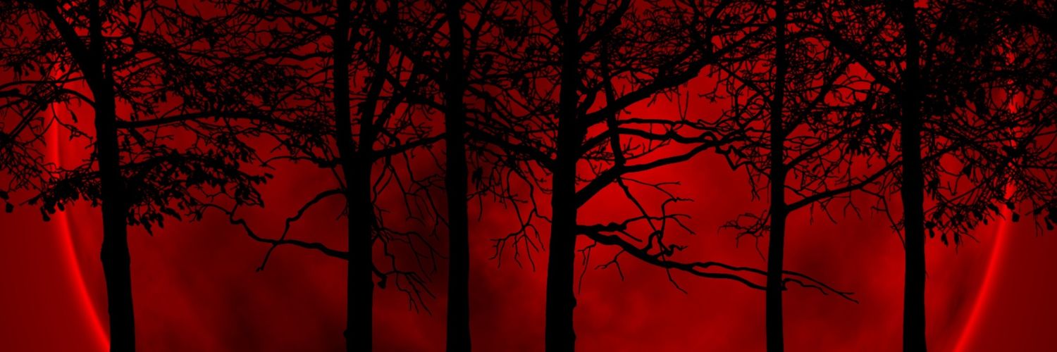 TheLegendOfWoo's profile banner image