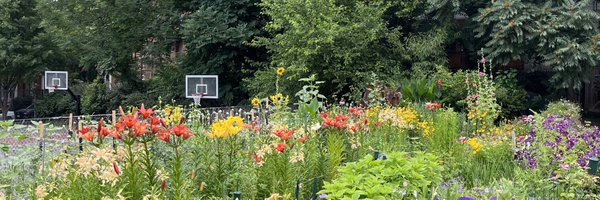 stack_tracy_ Profile Banner