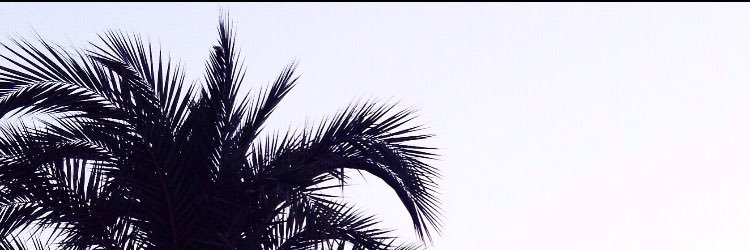 Cassandrafobian's profile banner image