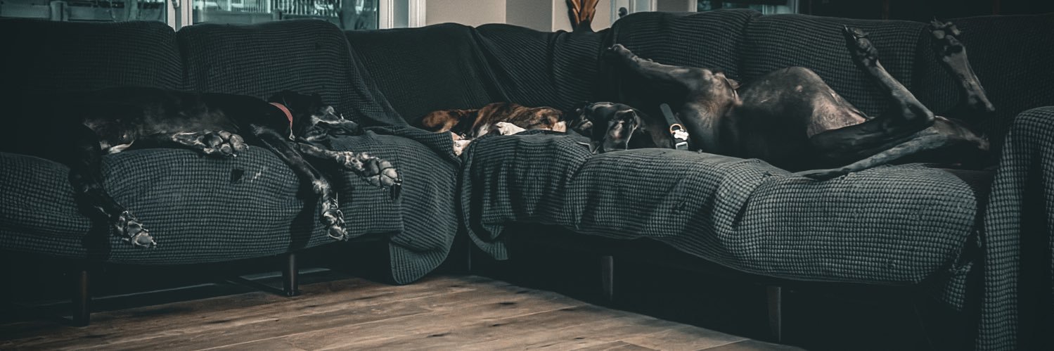 John Corrigan banner