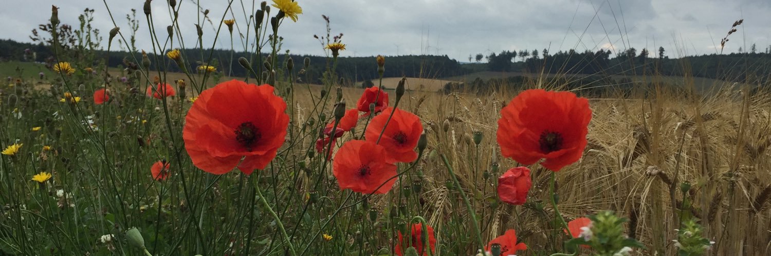 Johan de Jong banner