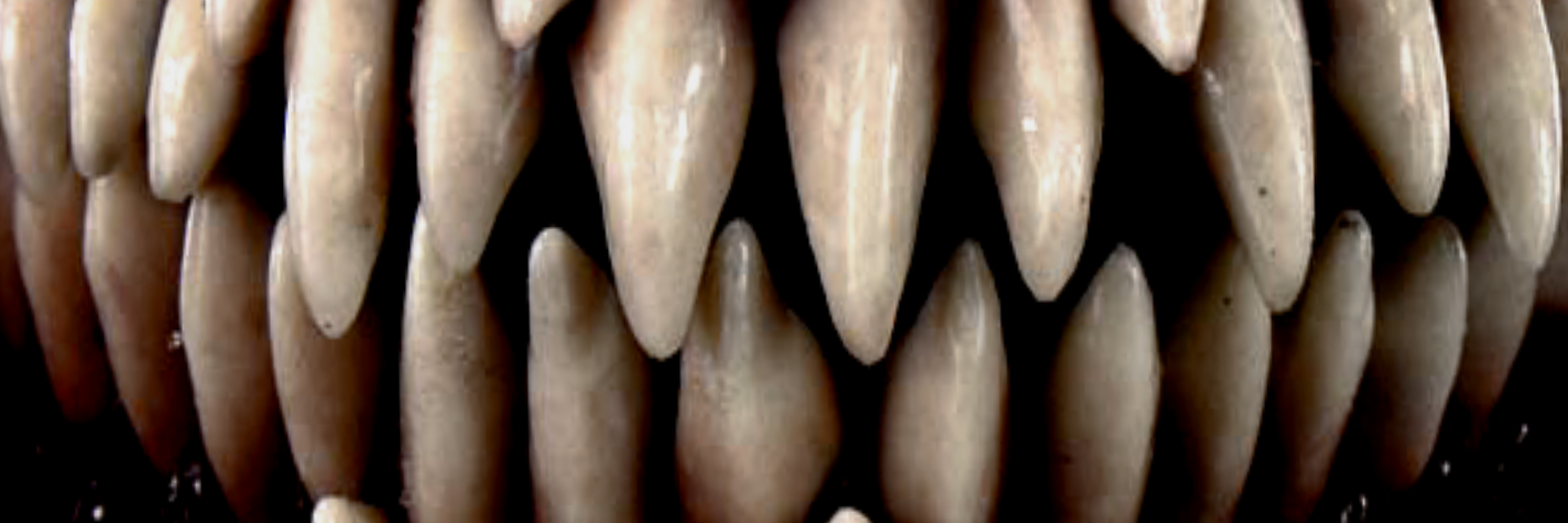 FlatlinerMusic banner