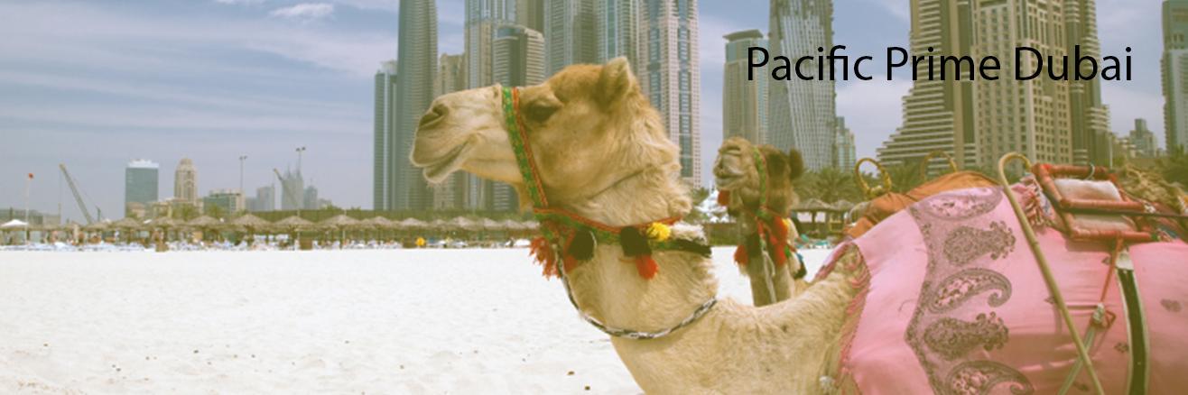PacificPrimeUAE's profile banner image