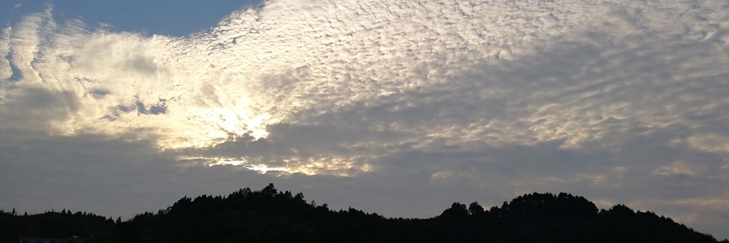 eversiming's profile banner image