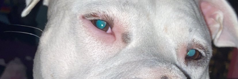 cptqween's profile banner image