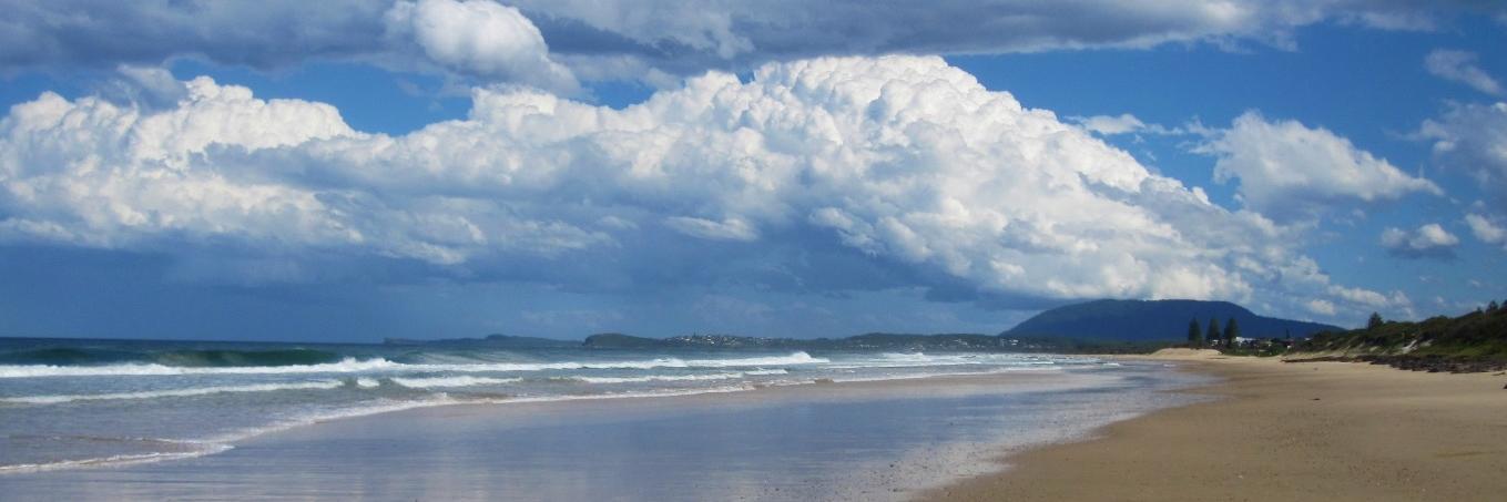 Peter Fox 🦊🇦🇺 banner