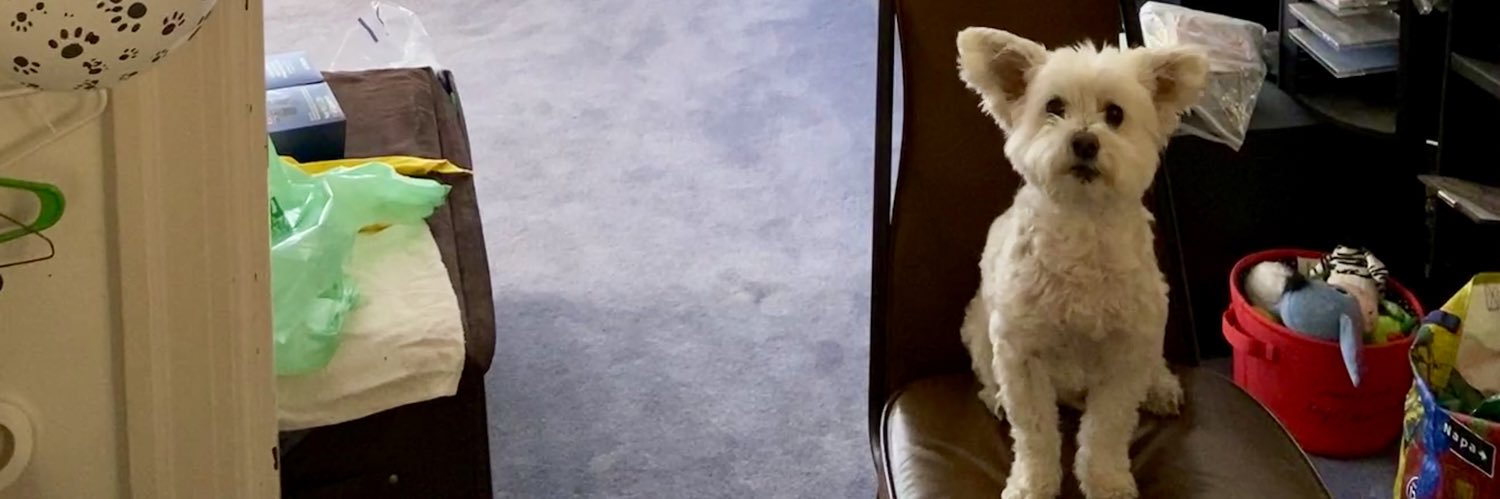 yolee9's profile banner image