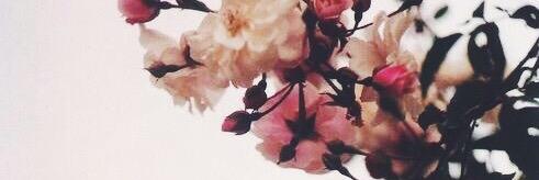 JuliaOfficialXx's profile banner image