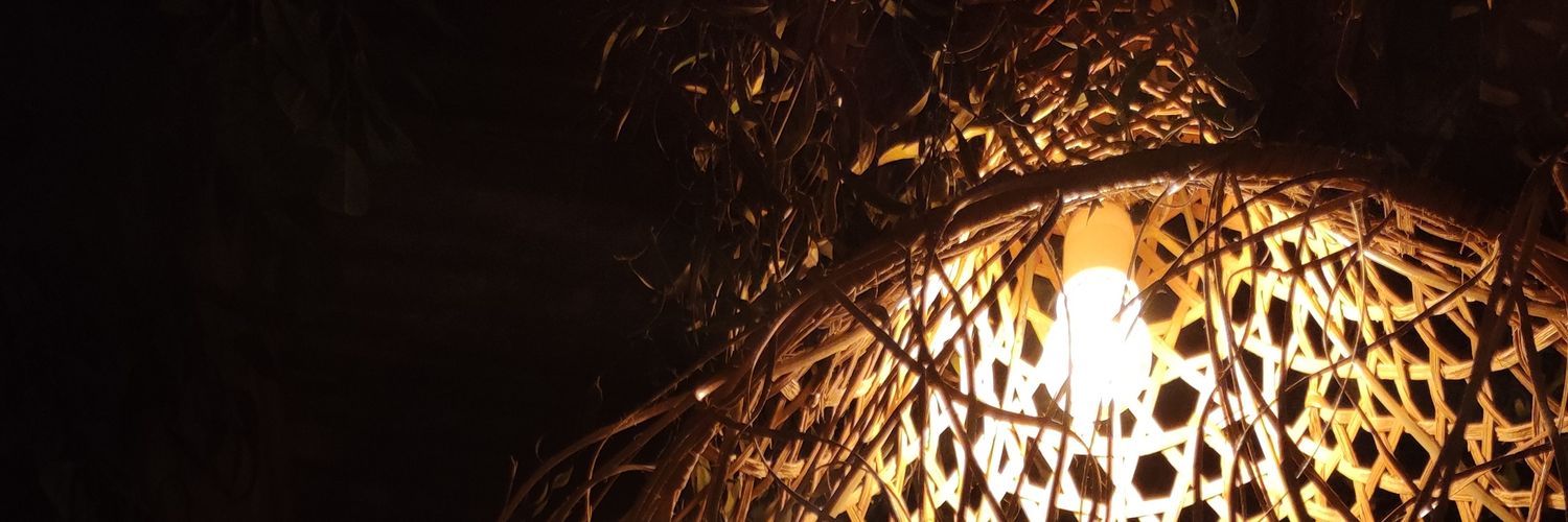 paulaalizcano's profile banner image