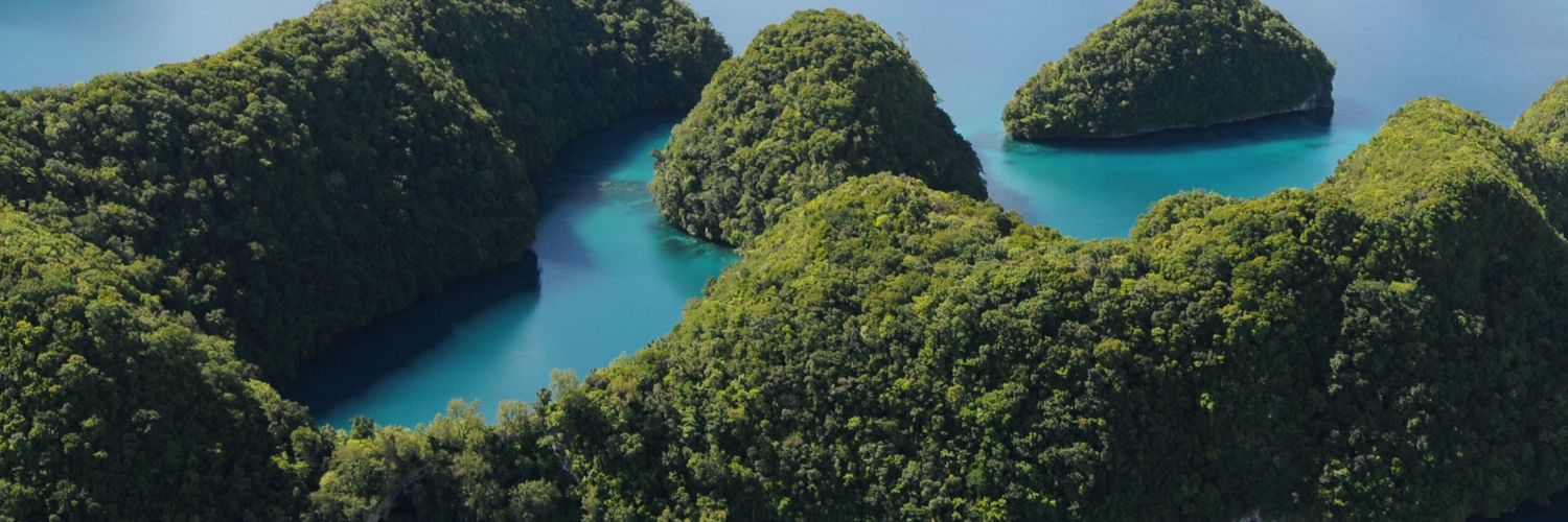 Ajwang' Beryl banner