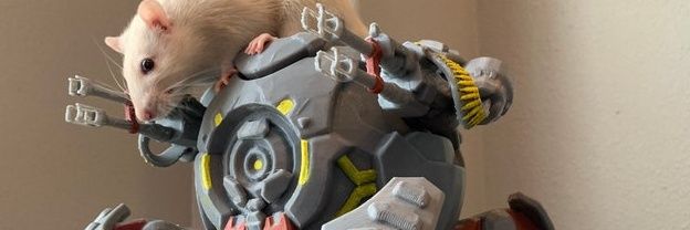 RaceCardUser's profile banner image