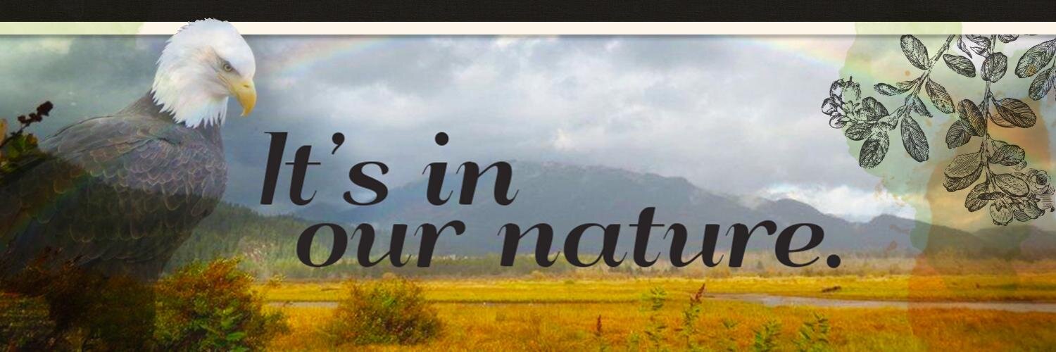 HarrisonMillsBC's profile banner image