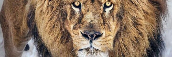 JamieBenFord's profile banner image