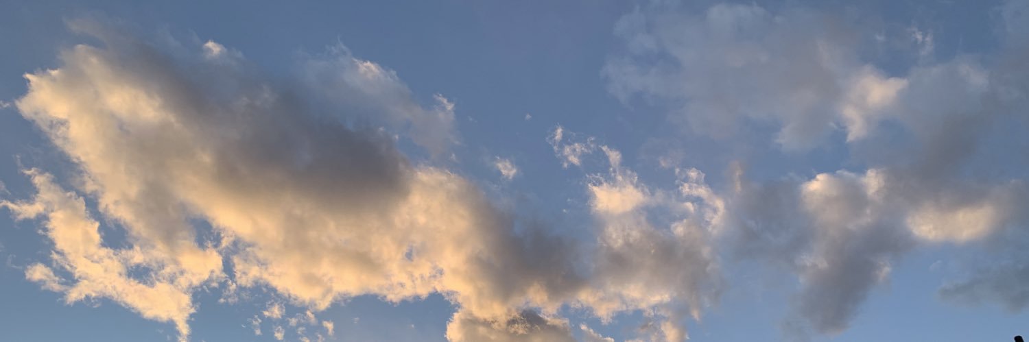 momoiro_pixel's profile banner image