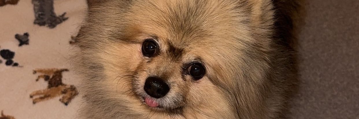 ashley_withers's profile banner image