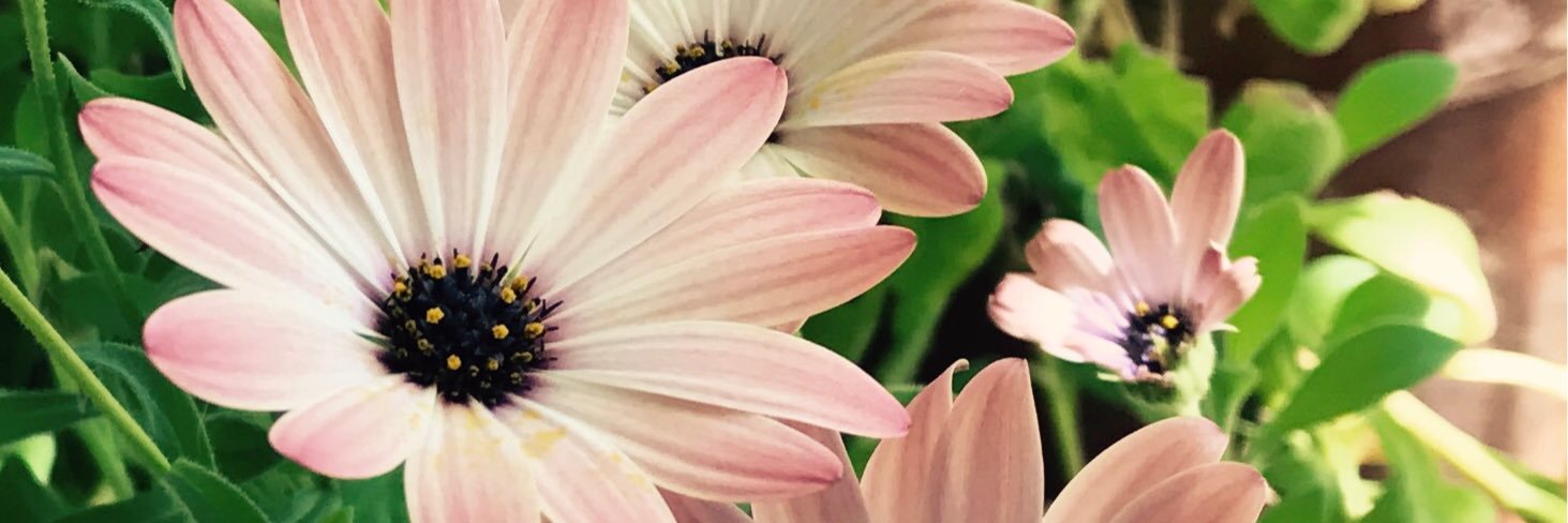 heard_evry_thing_now 👀 banner