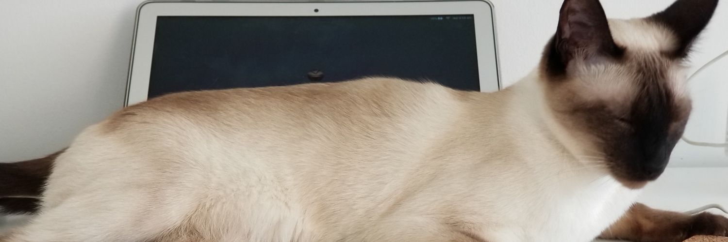 saddewo's profile banner image