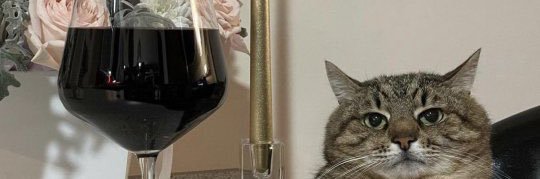 beanyfarts's profile banner image