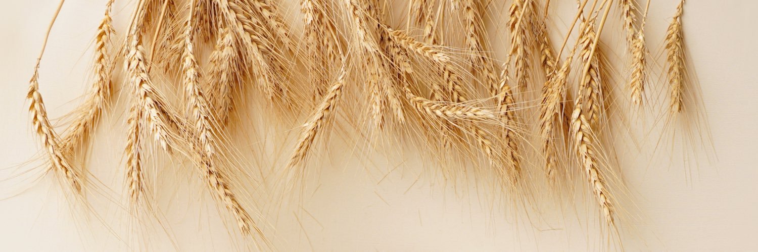 BaMahla's profile banner image