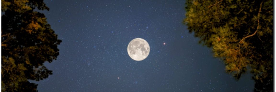 PaganChica's profile banner image