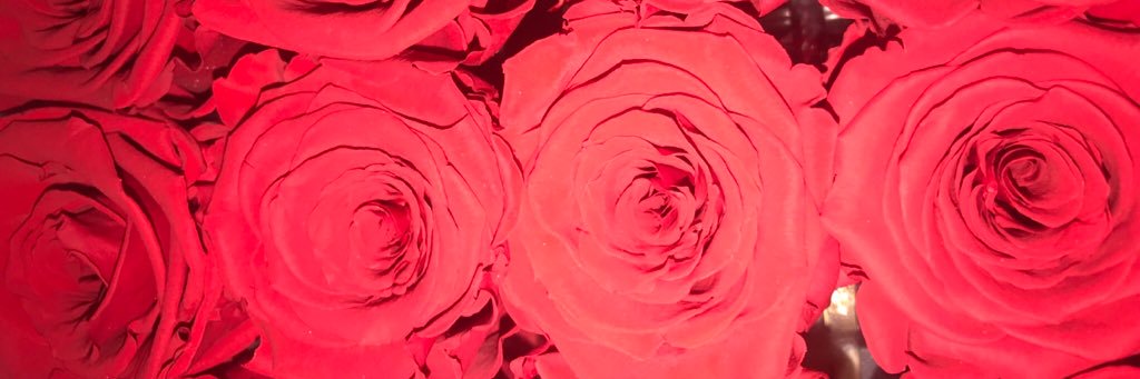 Nimrahhhh's profile banner image