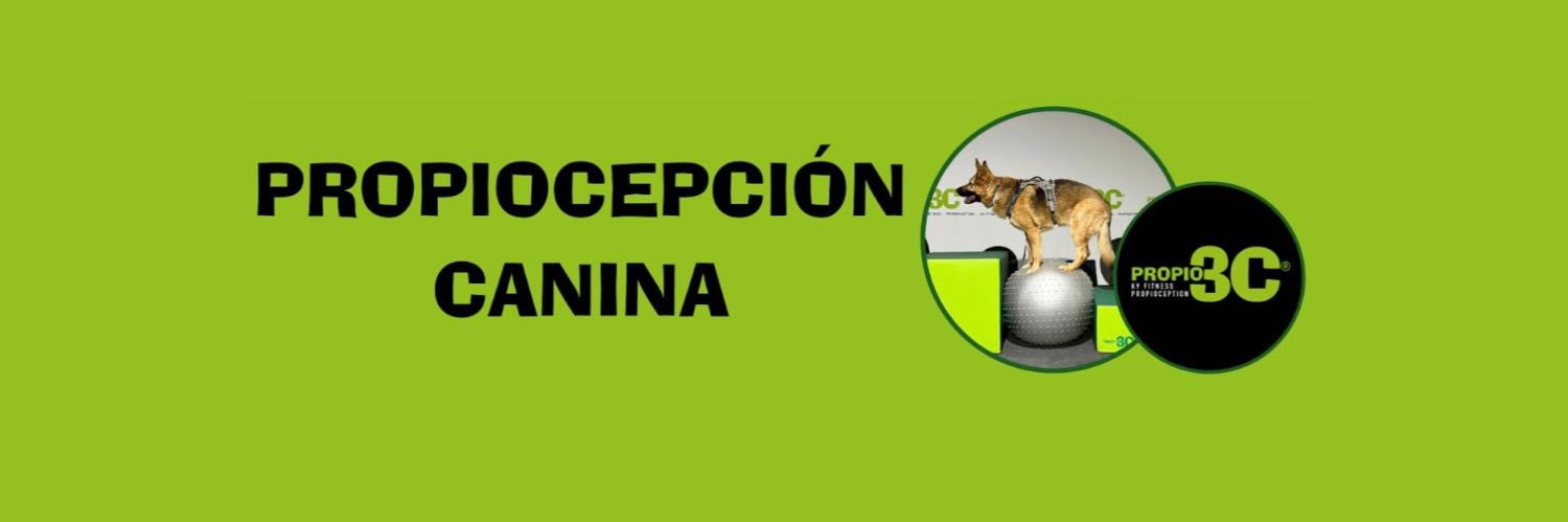 propio3C's profile banner image