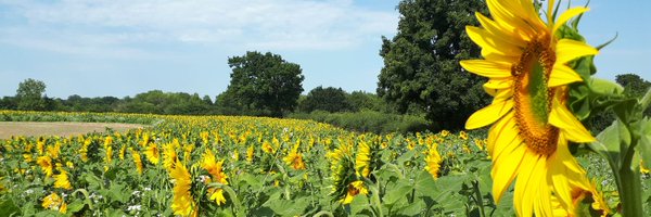 IncEdibleBarnet Profile Banner