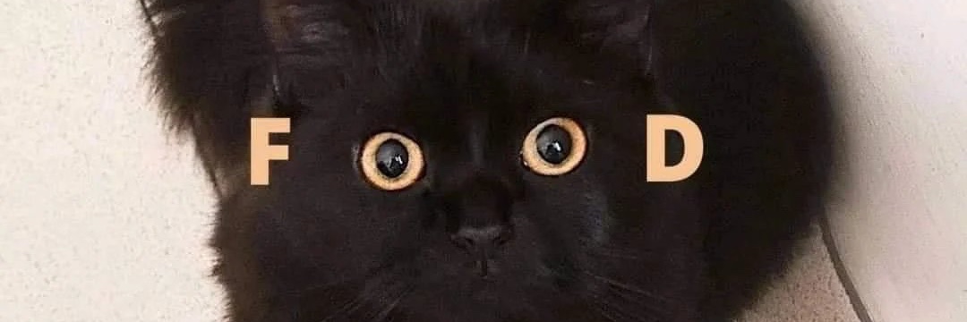 Sugar banner
