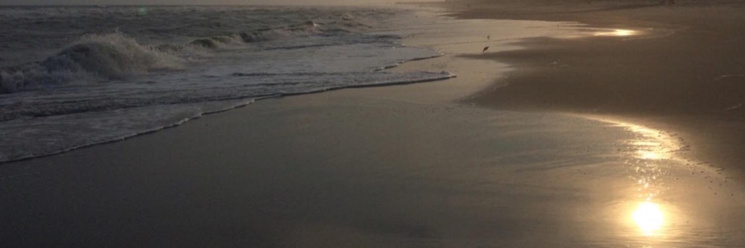CarolLense's profile banner image