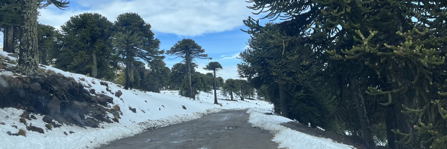 Ronald Javier Vera 🇦🇷 banner