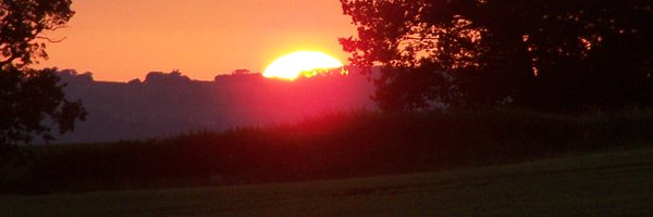 palmer_conrad Profile Banner