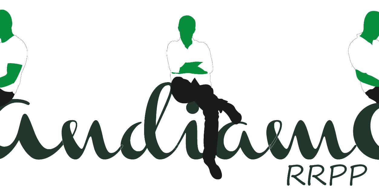 AndiamoRRPP's profile banner image