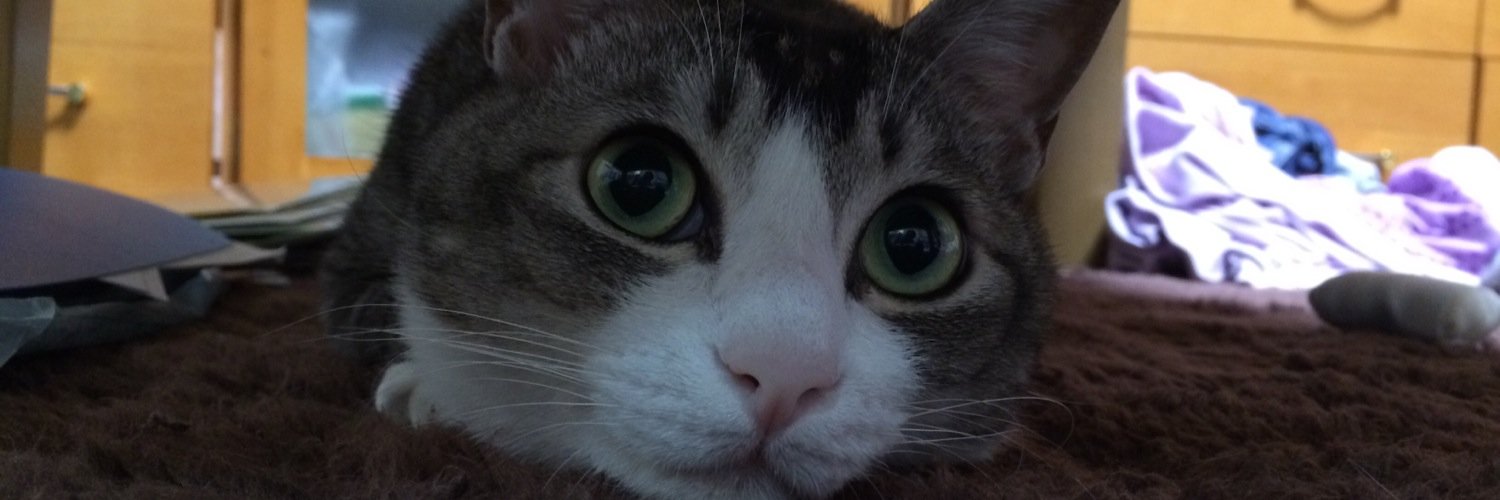 y_take_c's profile banner image